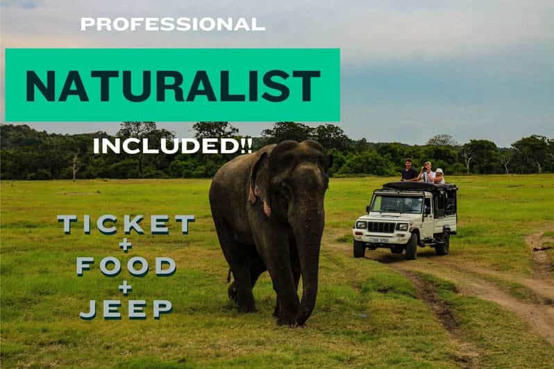 All Inclusive Wilpattu National Park: Safari Jeep Tour