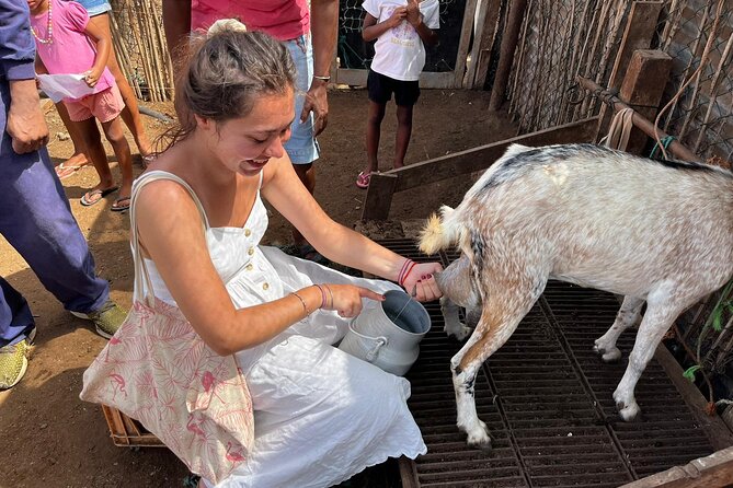 ALL-INCLUSSIVE Cabrer Journey-Live a Day Like a Cabrer-Boavista