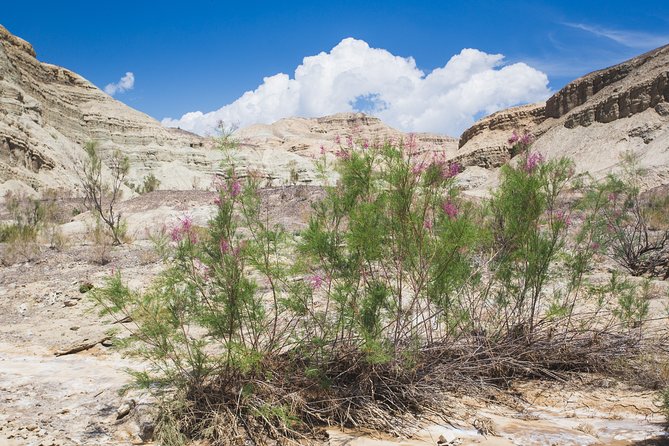 Altyn Emel. Singing Dune and Aktau Mountains 2 Days Tour - Tour Overview