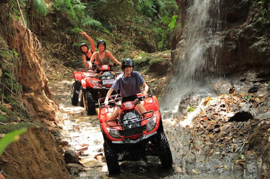4 Best 2 Hour Tours and Experiences in Ubud