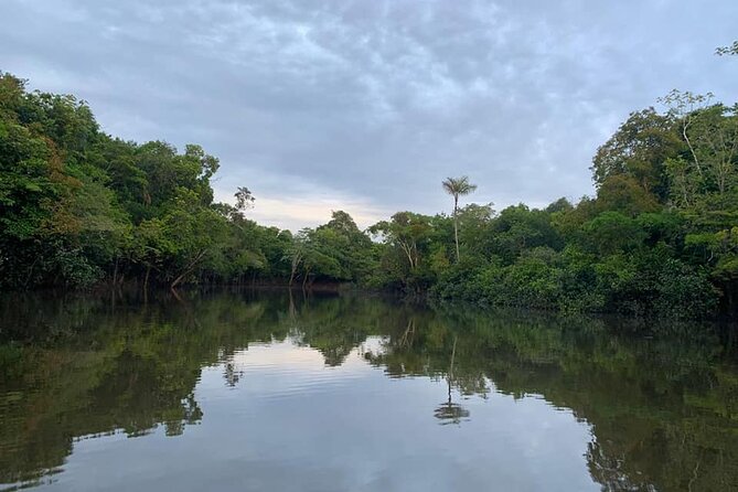 Amazon River Adventure Full Day Tour
