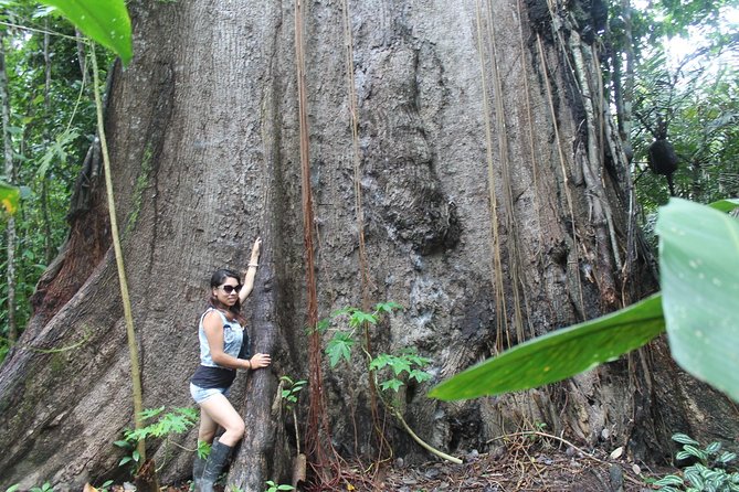 Amazon River Expeditions With Guide for 5 Days 4 Night Ecolodge