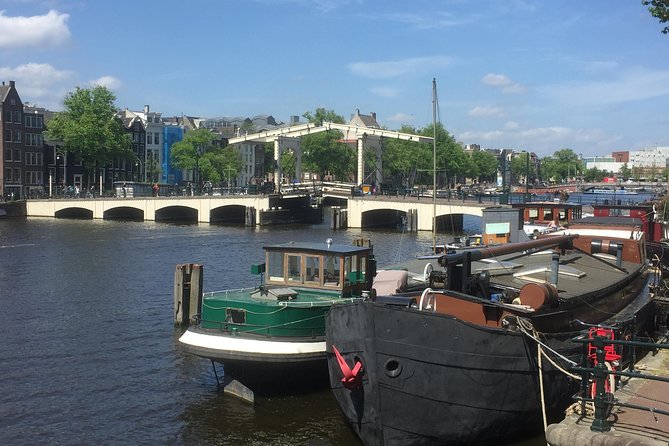 Amsterdam in a Nutshell 4 Hour Private Car Tour and Amsterdam Born Private Guide - Overview