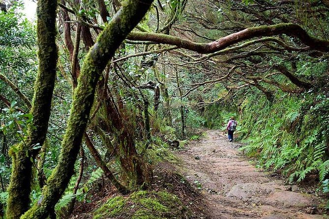Anaga Mountains & Jungle VIP Tour Review