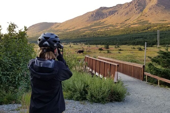 Anchorage Scenic Mountain Bike Tour - Tour Overview