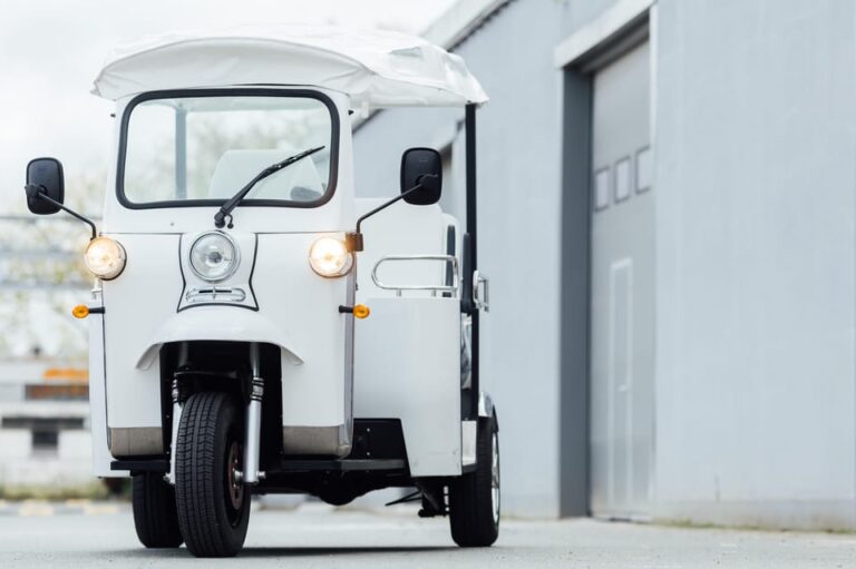 Angers: City Center Tour in an Electric Tuk-Tuk