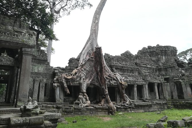 Angkor Grand Circuit Temples Tour - Tour Overview