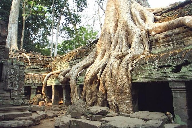 Angkor's Finest Examples in Brief - Overview of Angkor Wat