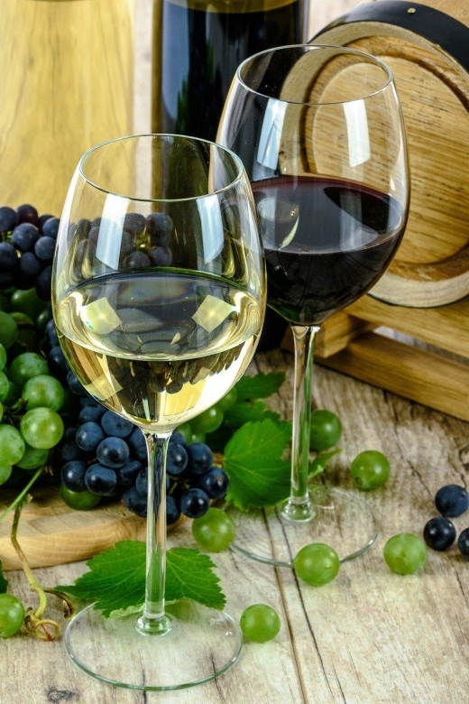Aperitif Guided Cruise “Wine and Canelé”