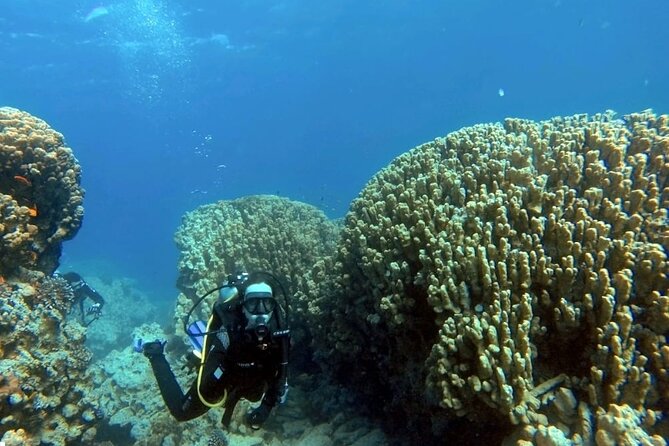 Aqaba Private Scuba Diving Activity With Pick up