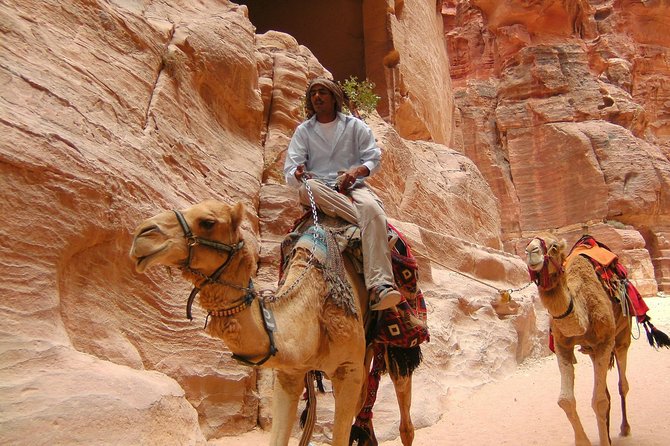 Aqaba Shore Excursion: Private Petra Sightseeing Tour With Lunch