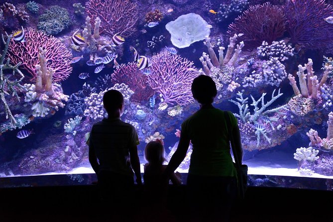 Aquarium & Face2face Wax Museum From Antalya - Antalya Aquarium Overview