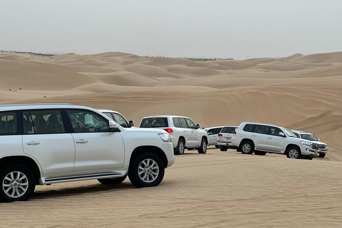 Arabian Desert Safari Abu Dhabi: 6HOUR Tour With BBQ & Live Shows