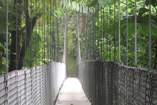 Arenal Hanging Bridges Nature Tour