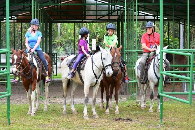 Arenal Wilberth Stable