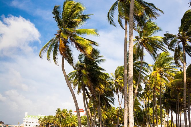 Arrival Transfer : From Airport to San Andres Island Hotels