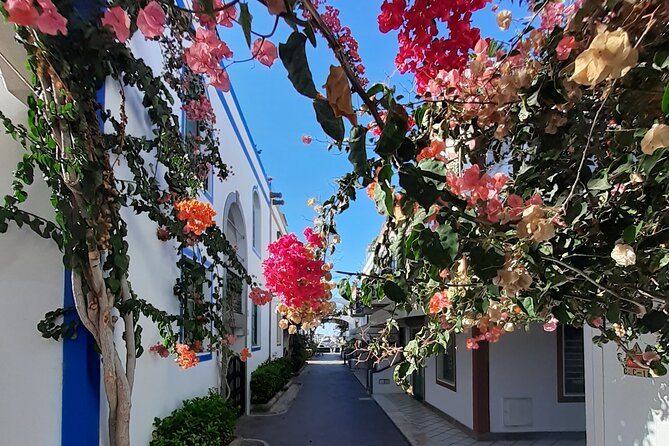 2 Best Shore Excursions In Gran Canaria