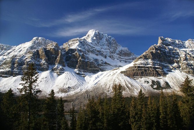 Athabasca Glacier Snow Trip From Banff