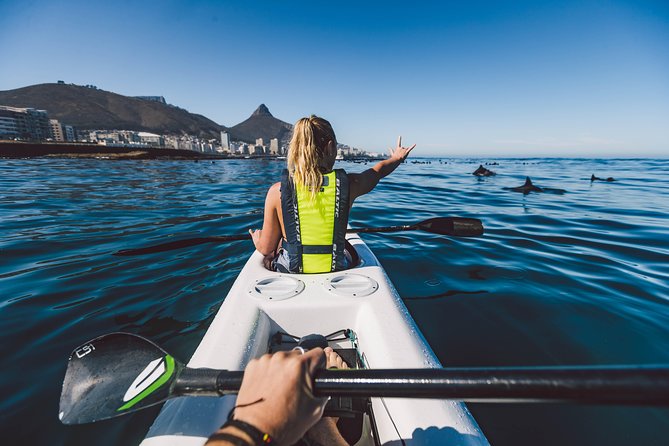 Atlantic Outlook Kayak Tour Cape Town - Tour Overview and Highlights