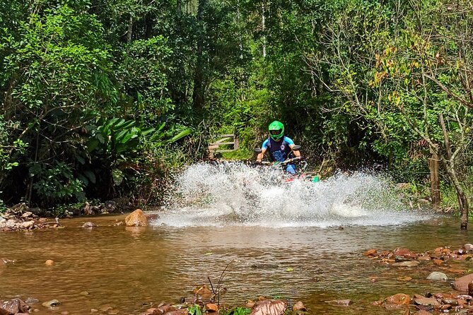 ATV Adventure Through the Forest With Canyon Views