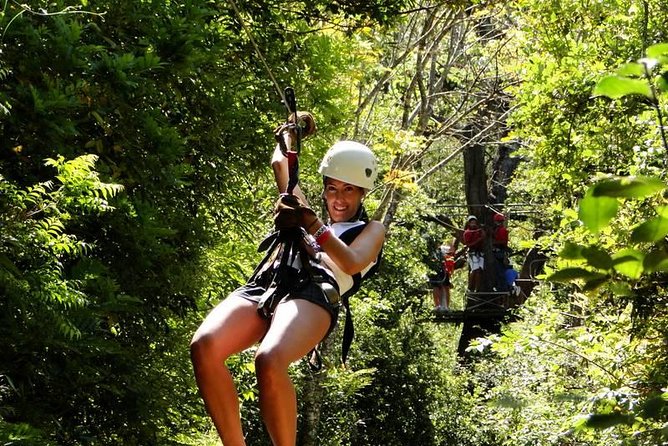 ATV & Canopy Tour From Flamingo Beach - Tour Overview