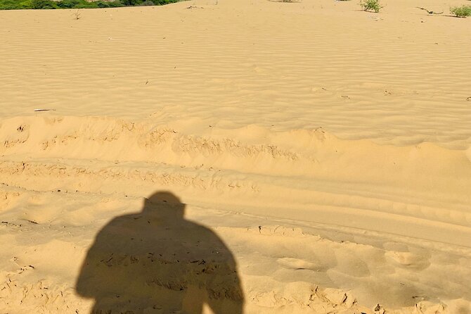 Authentic Camel Safari Experience With Us