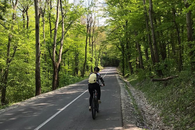Avala & Kosmaj Bike Tour - Inclusions