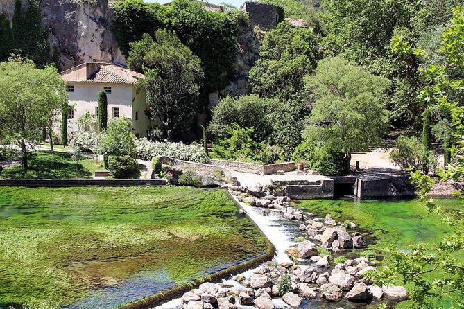 13 Best Food Tours In Marseille