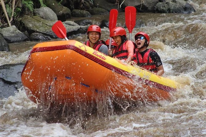 Ayung River Half-Day White Water Rafting Bali in Ubud - Overview of the Experience