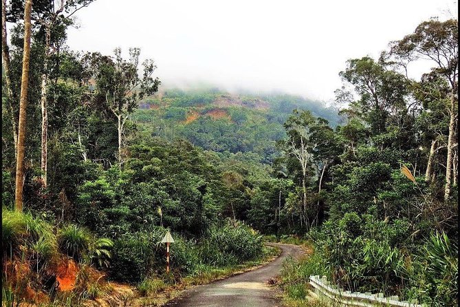 Ba Ho Waterfalls ( Trekking + Swimming + Jumping +Amazing Nature)