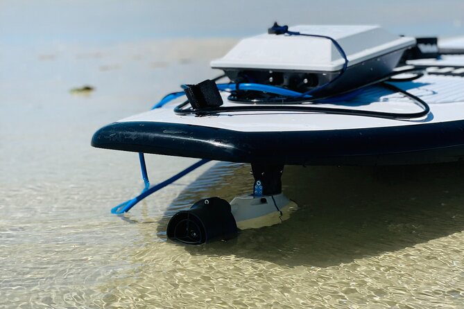 Backland Alligator Electric Paddle Tour