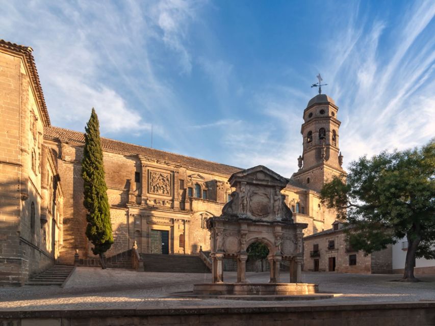 5 Best Guided Tours In Baeza