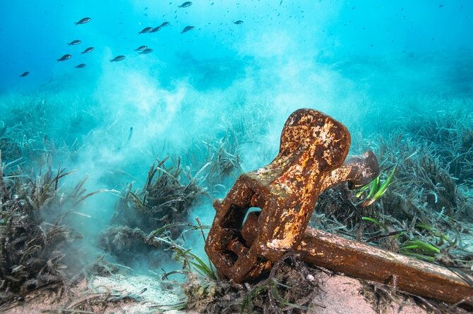 Bahamas on a Semi Submersive Glass Bottom Boat