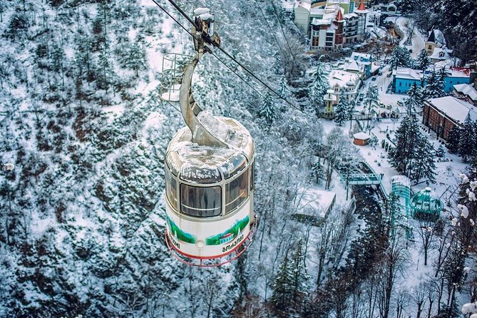 Bakuriani-Borjomi Full Day Trip - Trip Overview