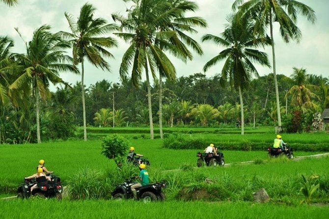 Bali ATV Ride Ubud Rice Field Track - Tour Highlights and Inclusions