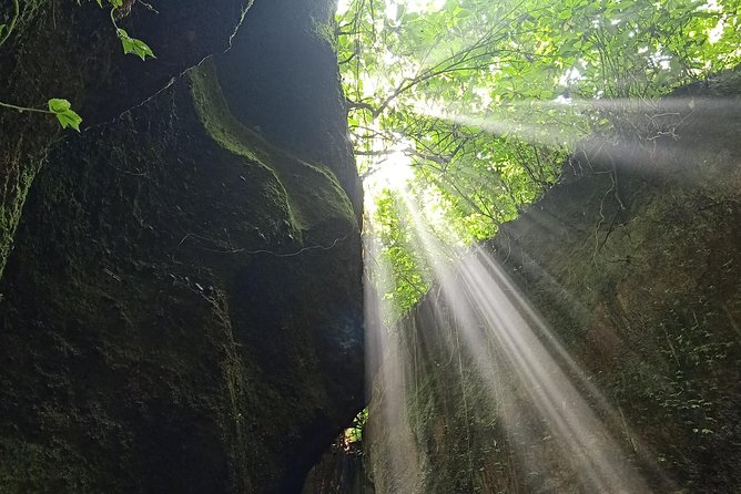 Bali Car Charter English Speaking Driver for 2 Days