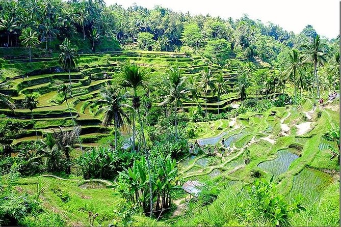 Bali Full Day Tour