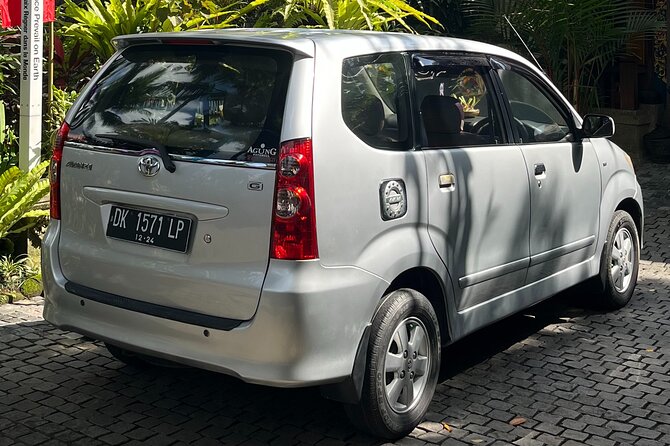 Bali Private Full Day Tour to Visit the Best Waterfalls and Swing Near Ubud