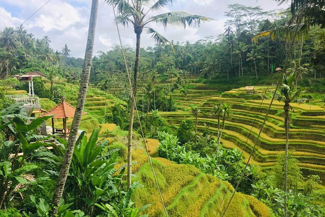 Bali Ubud Tour - Key Attractions in Ubud