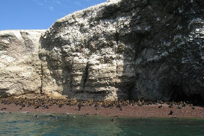 Ballestas Islands Boat Tour in Paracas - Preparing for the Boat Tour
