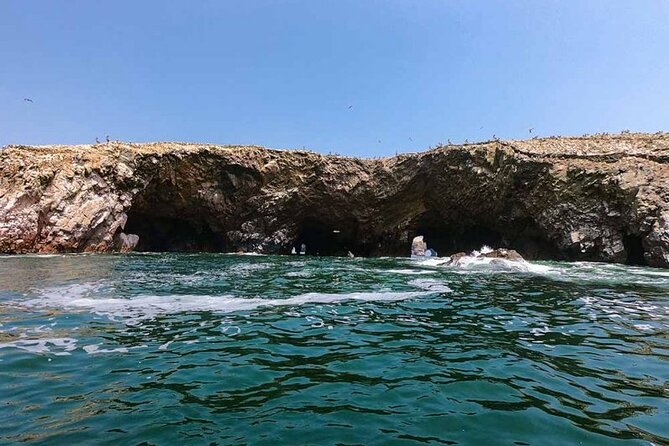 Ballestas Islands Tour From Puerto San Martin Cruise