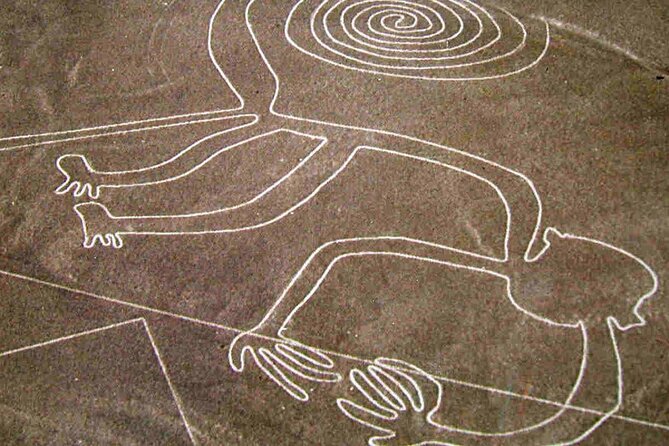 Ballestas, Paracas, Nazca Lines & Huacachina - 2 Days Experience - Accommodation