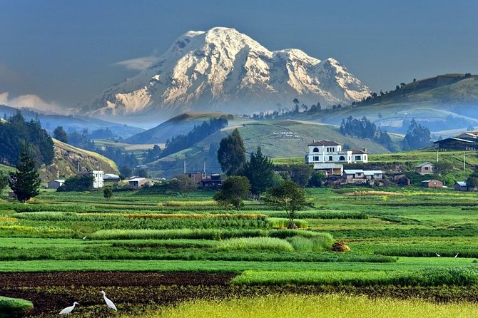 Baños & Amazon 4-Day Tour From Cuenca or Quito