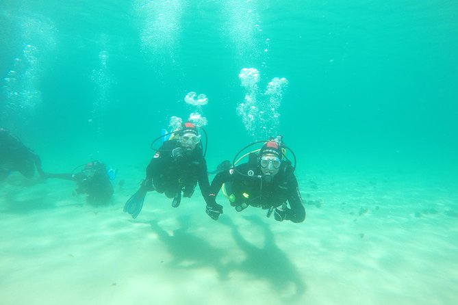 Baptism of Diving in the Natural Park of the Strait - Schedule and Availability