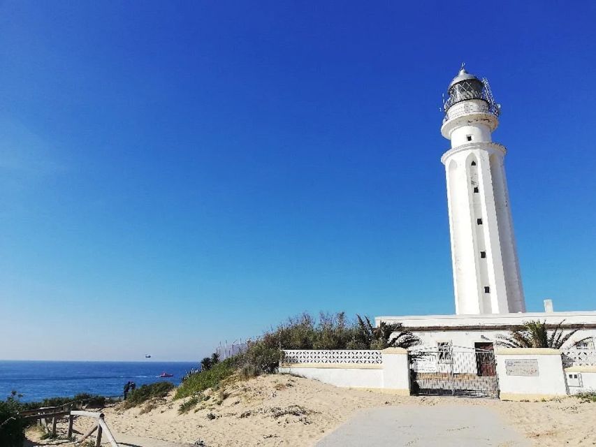 Barbate: La Breña Natural Park and Cape Trafalgar Boat Trip - Activity Overview