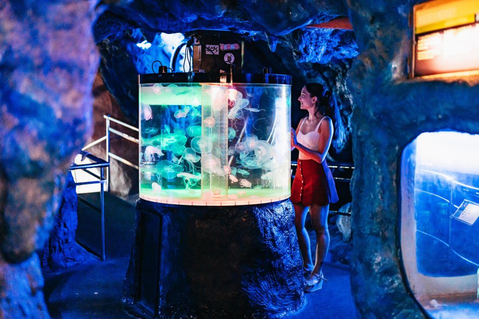 Barcelona Aquarium: Skip-the-Line Admission Ticket - Ticket Pricing and Availability