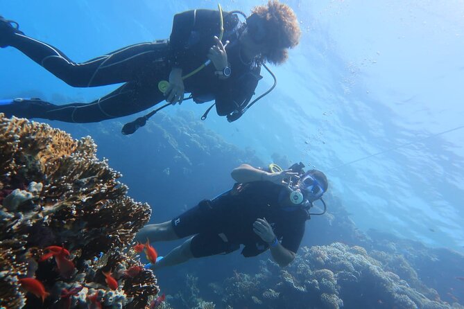 Basic Scuba Diver