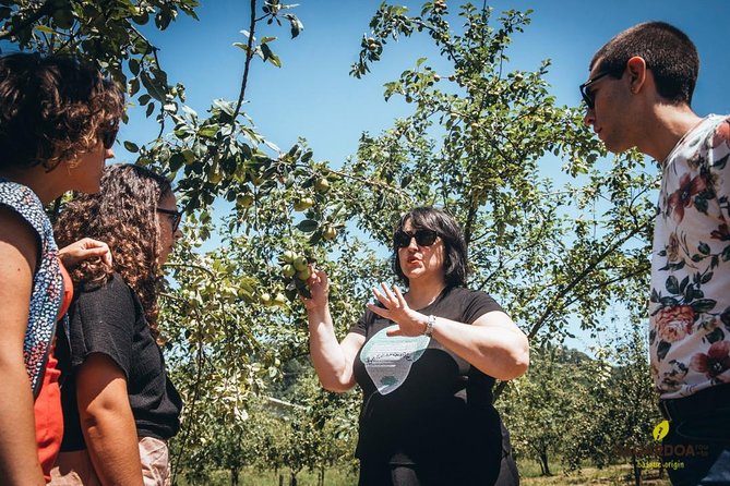Basque Cider House Guided Tour + Meal From San Sebastian