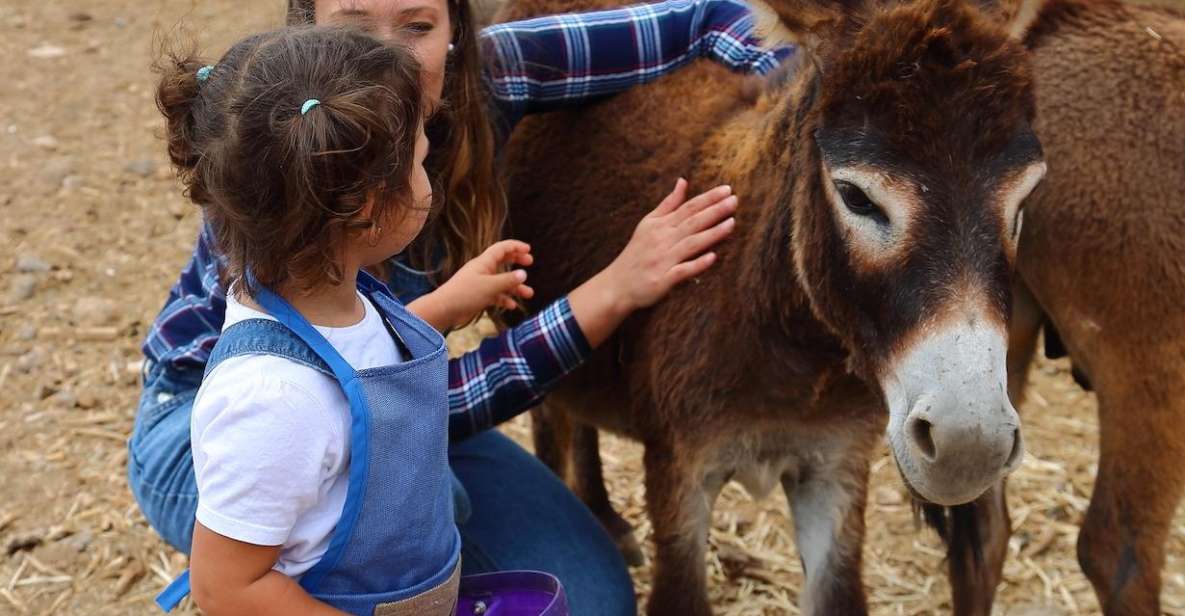 Be a Farmer for the Day at La Jaira De Ana - Experience Overview