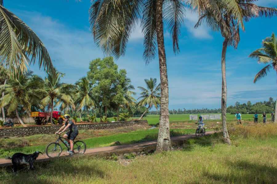 Beach and Backwaters of Kerala Ride - Tour Overview